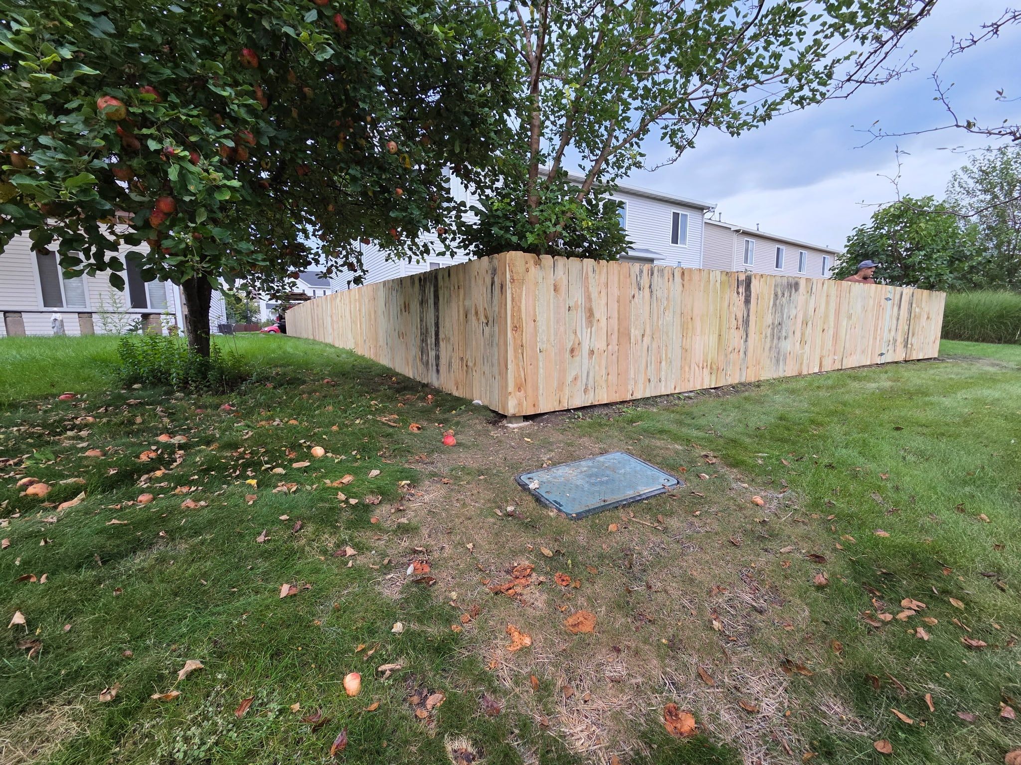 Corner of the new wood privacy fence seen across the lawn